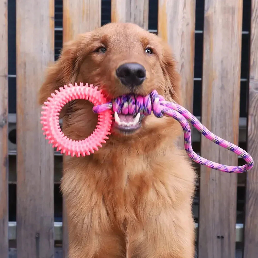 Toys and Play