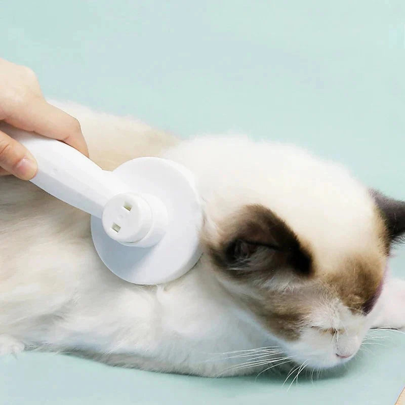 Grooming & Care